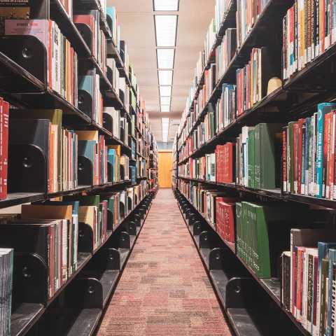 Scaffali di una biblioteca