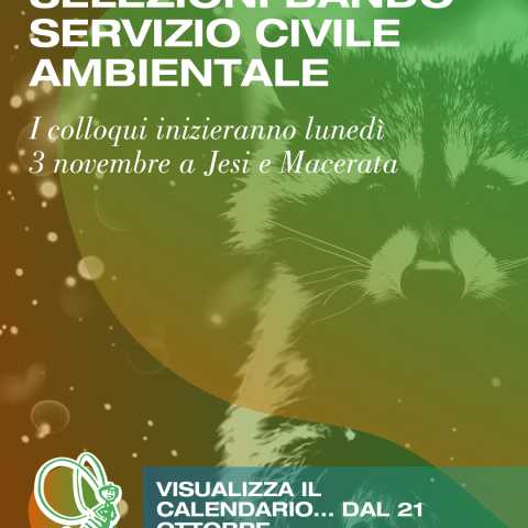 disponibile dal 21 di ottobre...