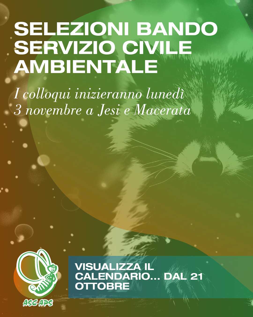 disponibile dal 21 di ottobre...