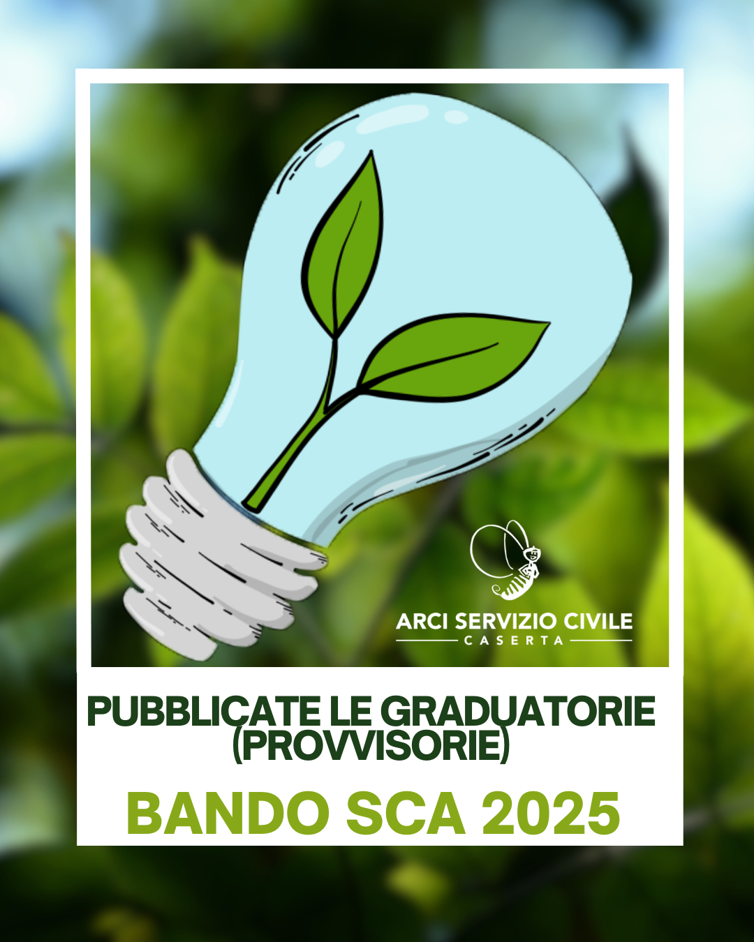 PUBBLICATE LE GRADUATORIE PROVVISORIE
