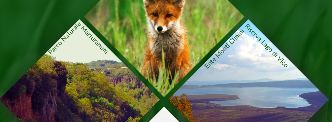 locandina naturattiva